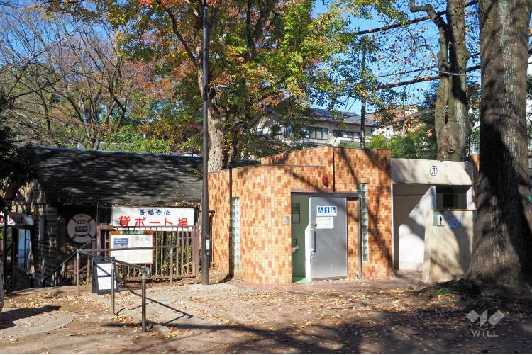 善福寺公園の写真