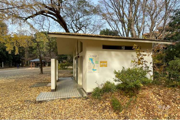 善福寺公園の写真