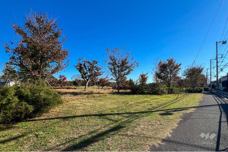 高井戸公園の写真