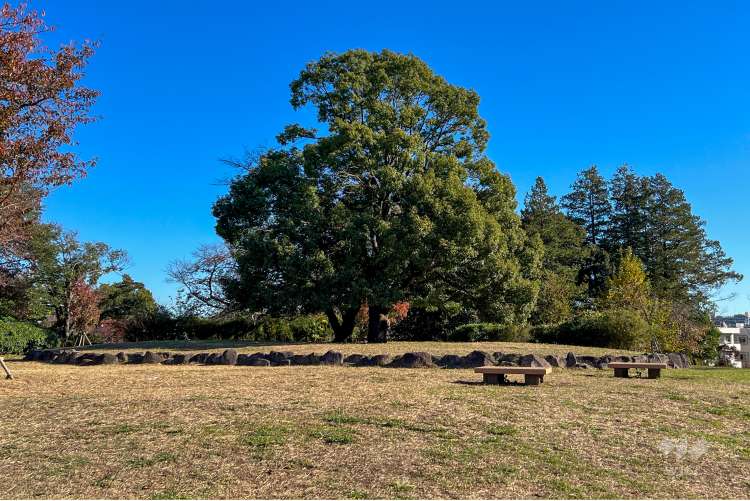 高井戸公園の写真