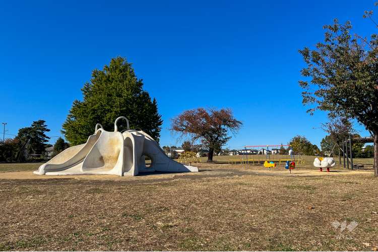 高井戸公園の写真