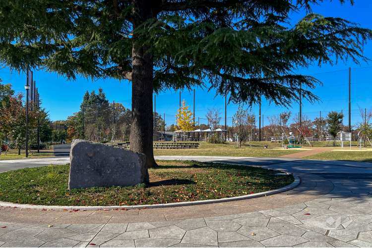 高井戸公園の写真