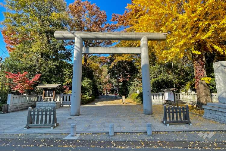 阿佐ヶ谷神明宮の写真