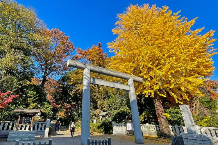 阿佐ヶ谷神明宮の写真