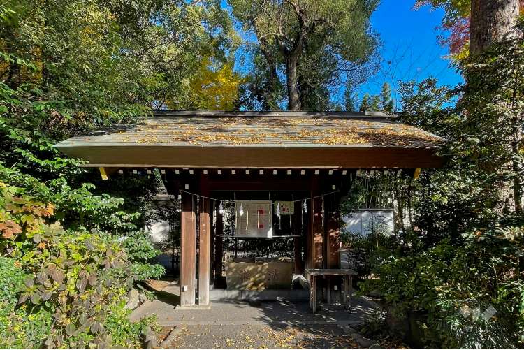 阿佐ヶ谷神明宮の写真