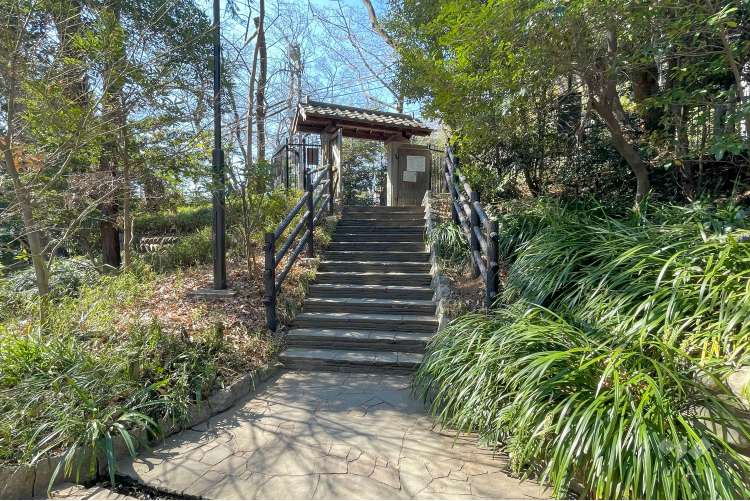 おとめ山公園の写真