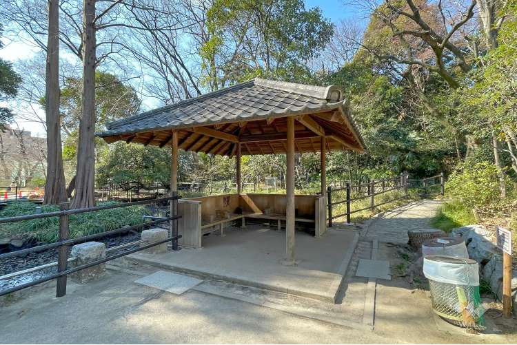 おとめ山公園の写真