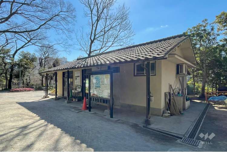おとめ山公園の写真