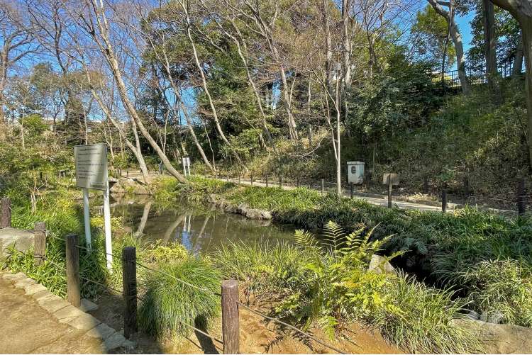 おとめ山公園の写真