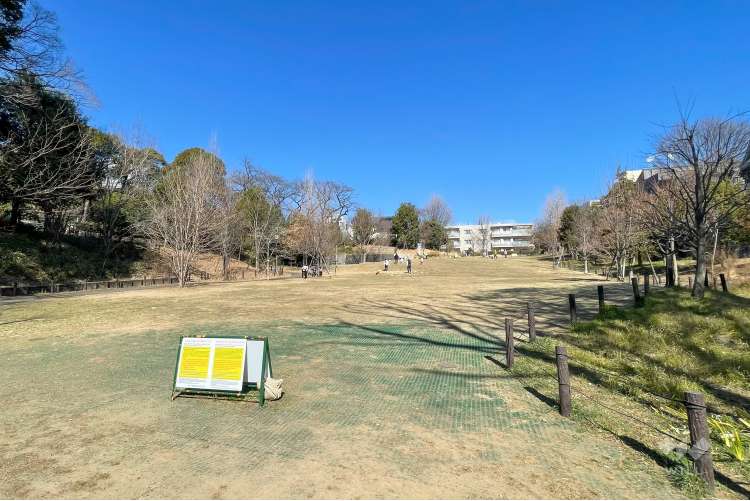 おとめ山公園の写真