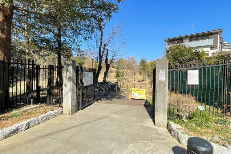 おとめ山公園の写真