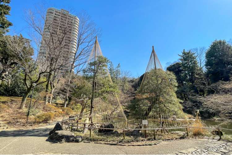 甘泉園公園の写真