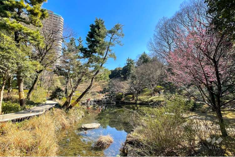 甘泉園公園の写真
