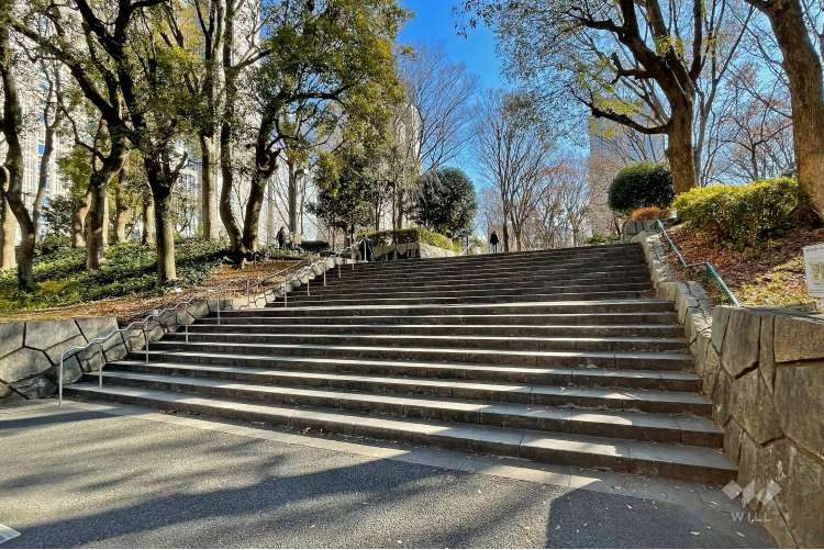 新宿中央公園の写真