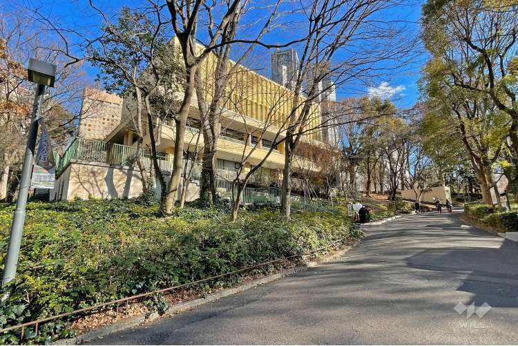 新宿中央公園の写真