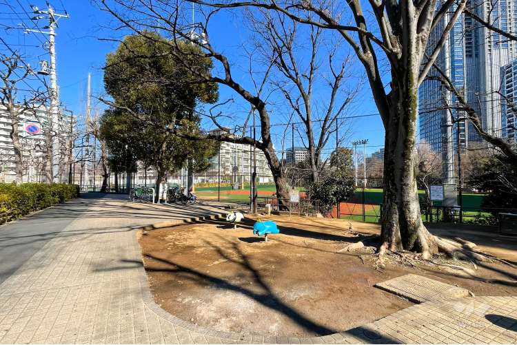 西戸山公園の写真