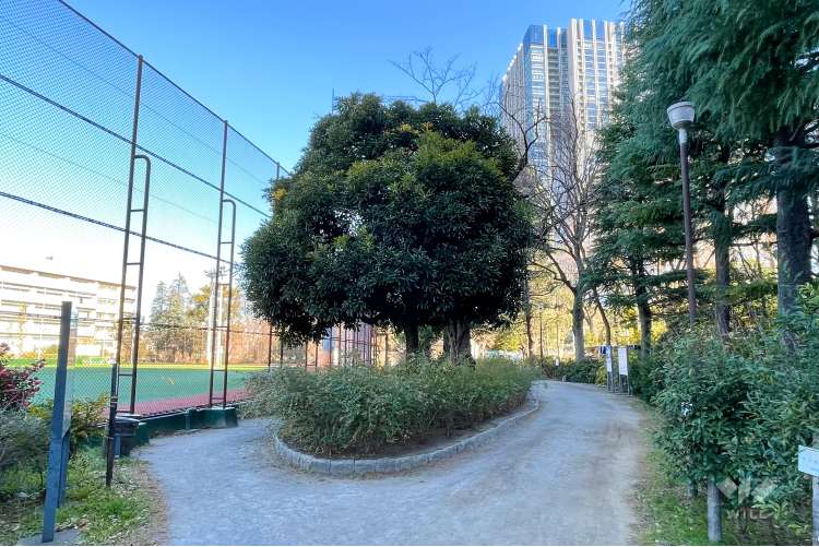 西戸山公園の写真