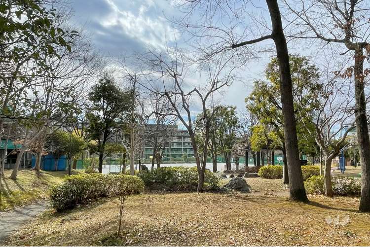 みなみもと町公園の写真