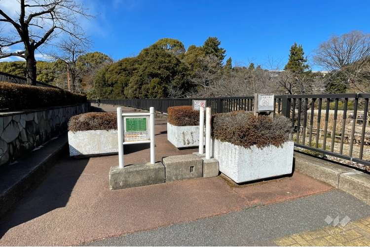 妙正寺川公園の写真