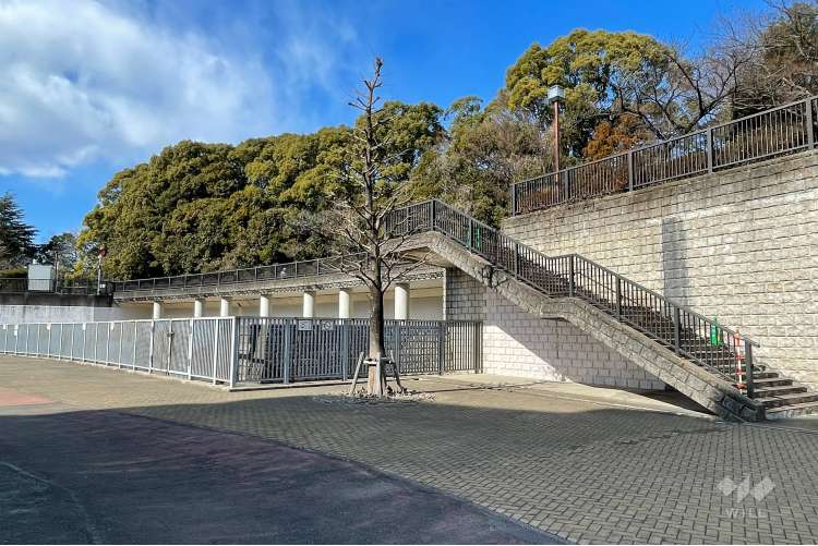 妙正寺川公園の写真