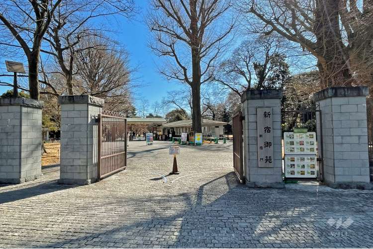 新宿御苑の写真