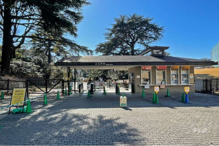 新宿御苑の写真