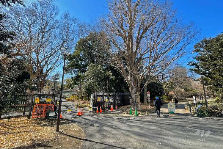 新宿御苑の写真