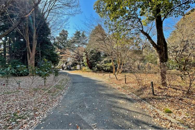 新宿御苑の写真