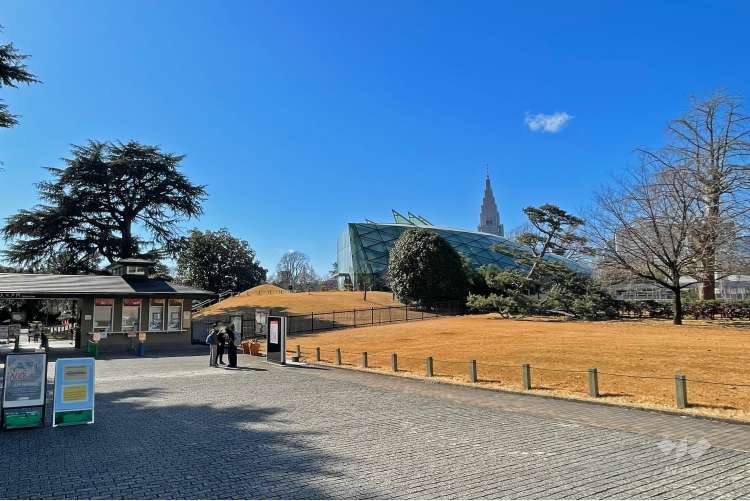 新宿御苑の写真