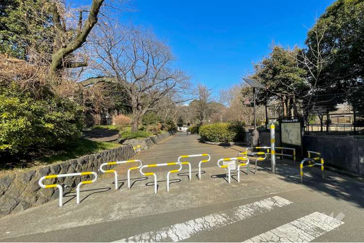 戸山公園（箱根山地区）の写真