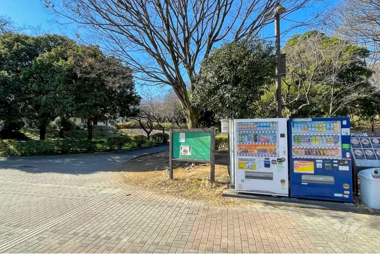 戸山公園（箱根山地区）の写真