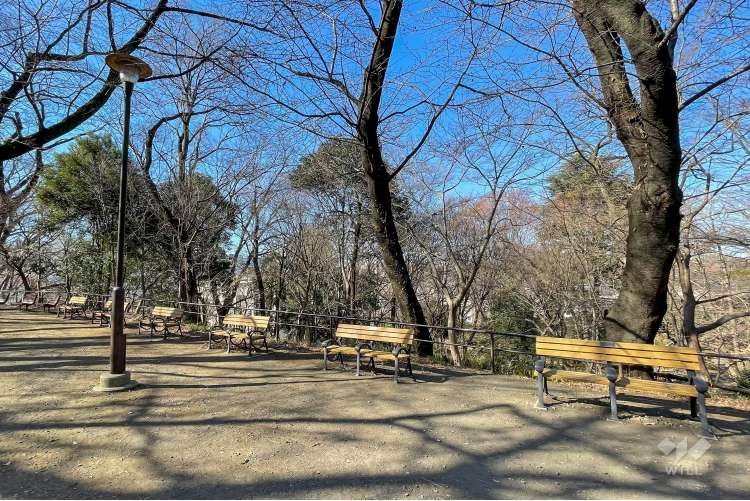戸山公園（箱根山地区）の写真