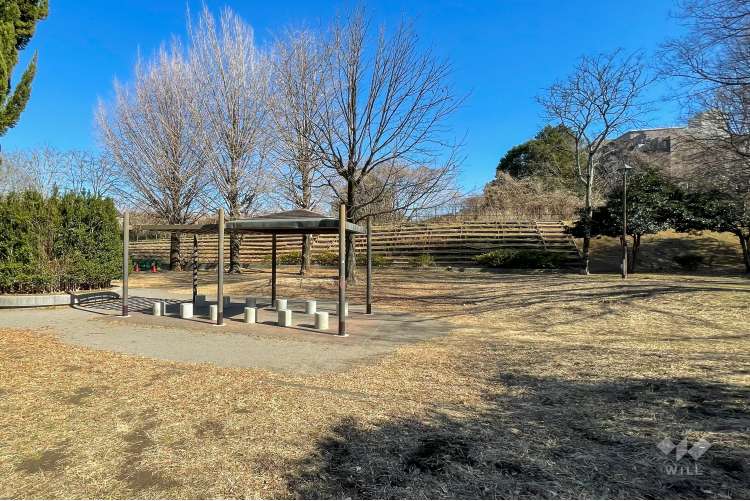 戸山公園（箱根山地区）の写真