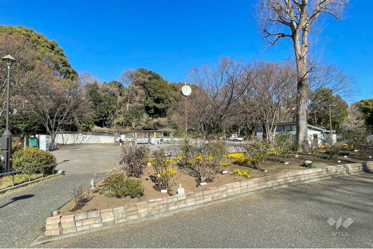 戸山公園（箱根山地区）の写真