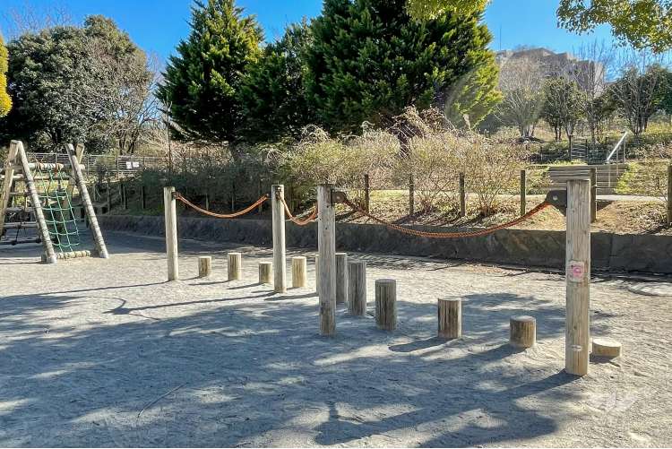 戸山公園（箱根山地区）の写真