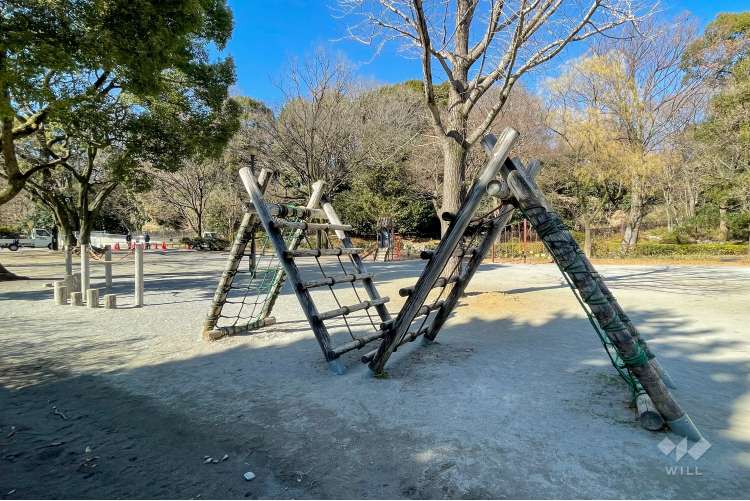 戸山公園（箱根山地区）の写真