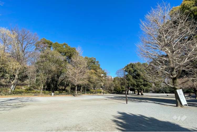 戸山公園（箱根山地区）の写真