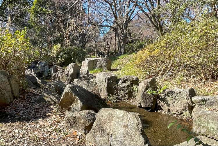 戸山公園（箱根山地区）の写真