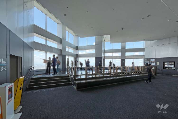 東京都庁舎展望室の写真