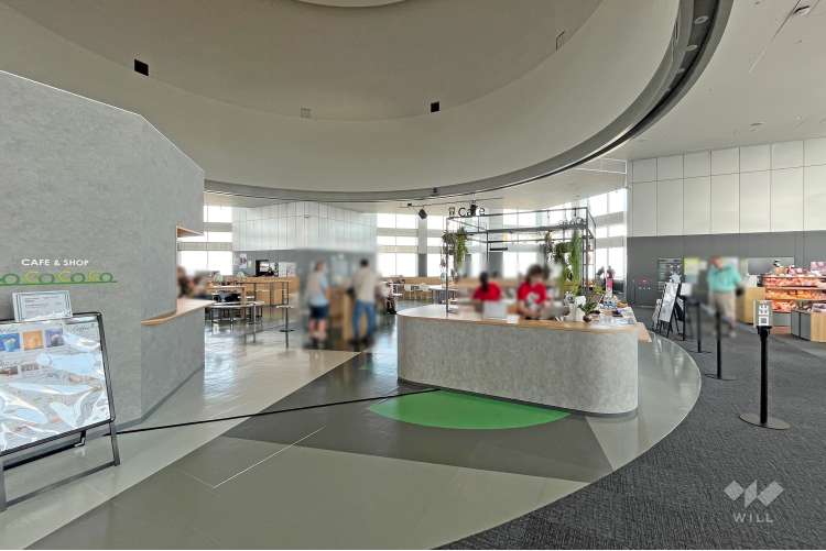 東京都庁舎展望室の写真