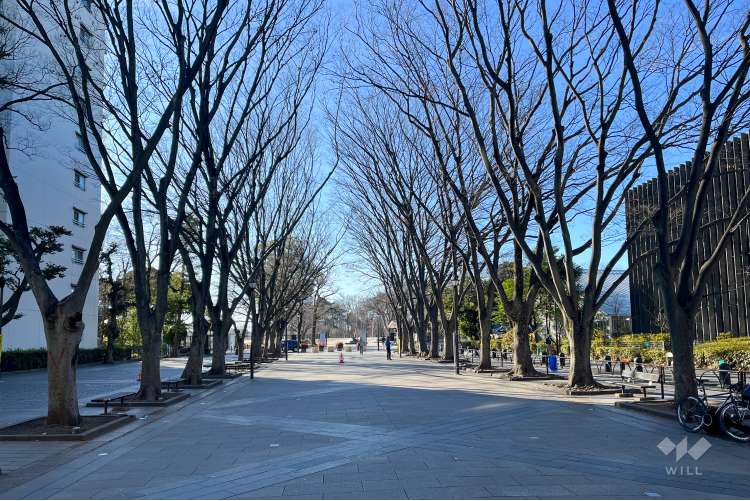 JRA馬事公苑の写真