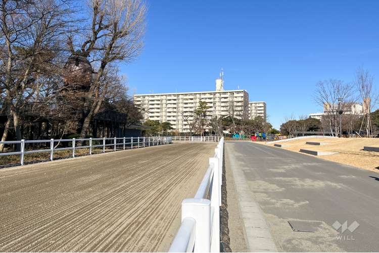 JRA馬事公苑の写真