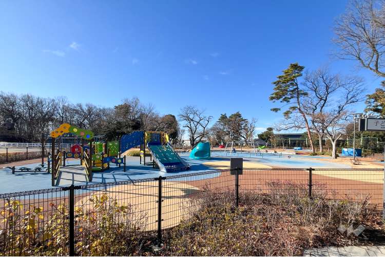 JRA馬事公苑の写真