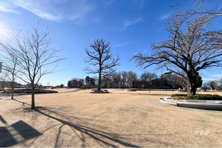 JRA馬事公苑の写真