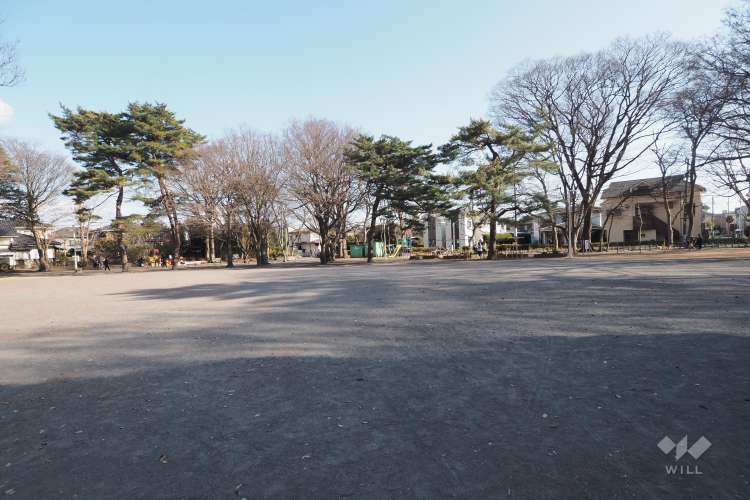 大泉公園の写真