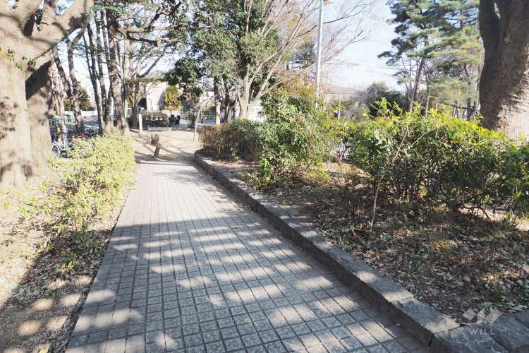 大泉公園の写真