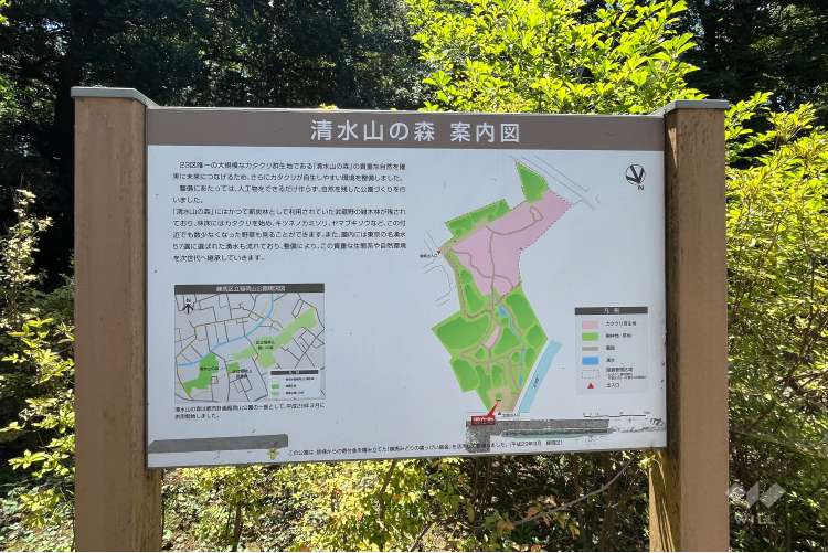 清水山の森の写真
