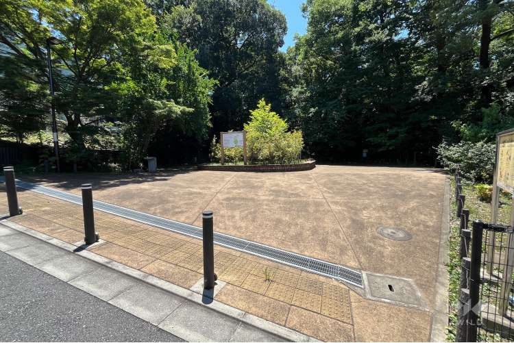 清水山の森の写真