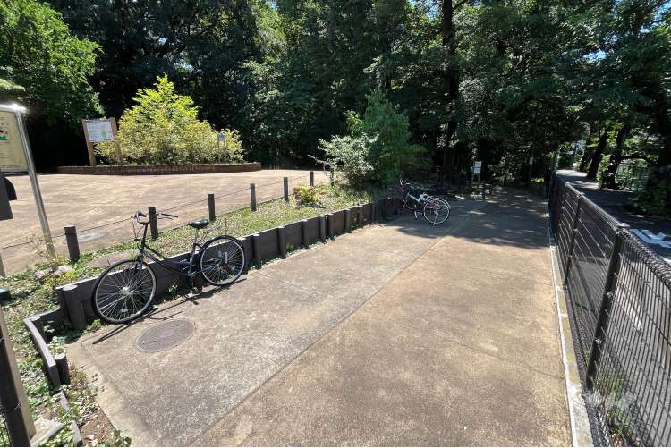 清水山の森の写真