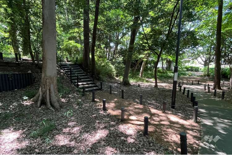 清水山の森の写真